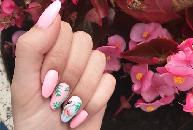 flamingo flamingos nailart nail art manicure tutorial diy arte brillante indigo 04